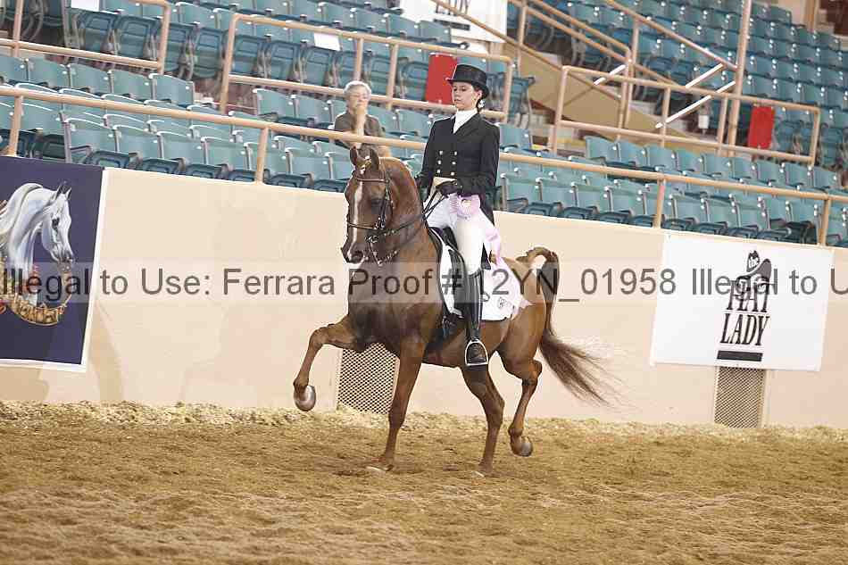 Proof 12yn_01958