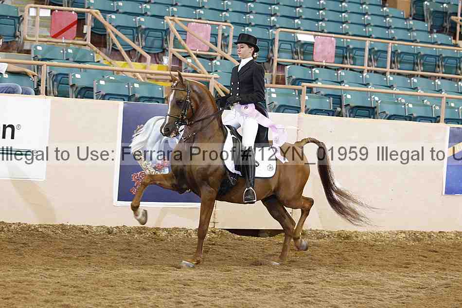 Proof 12yn_01959