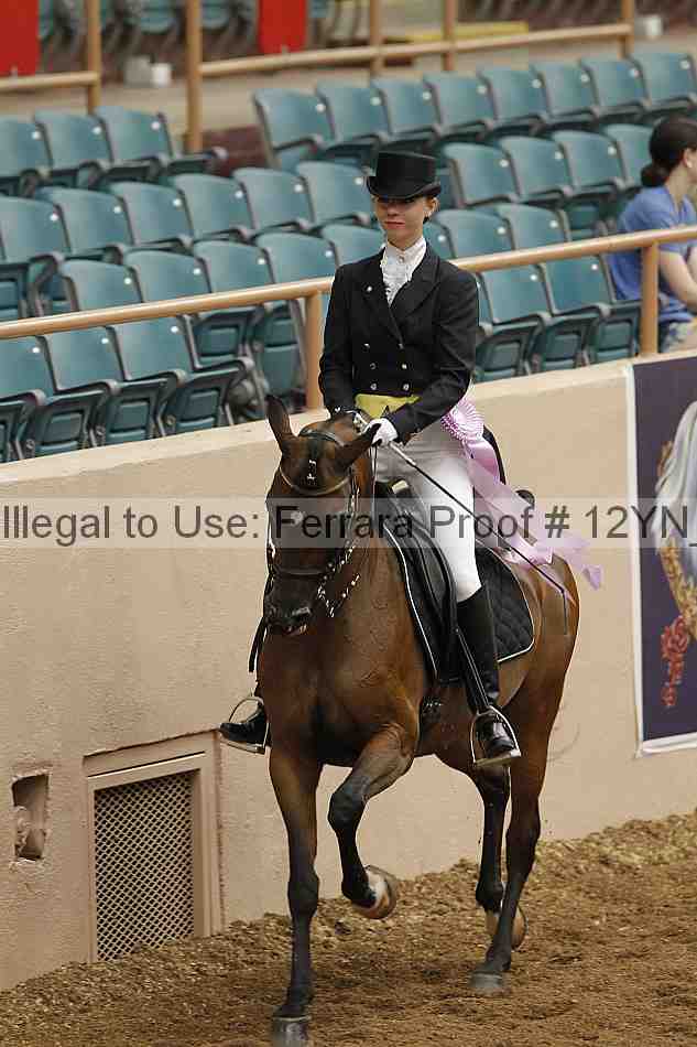 Proof 12yn_01963