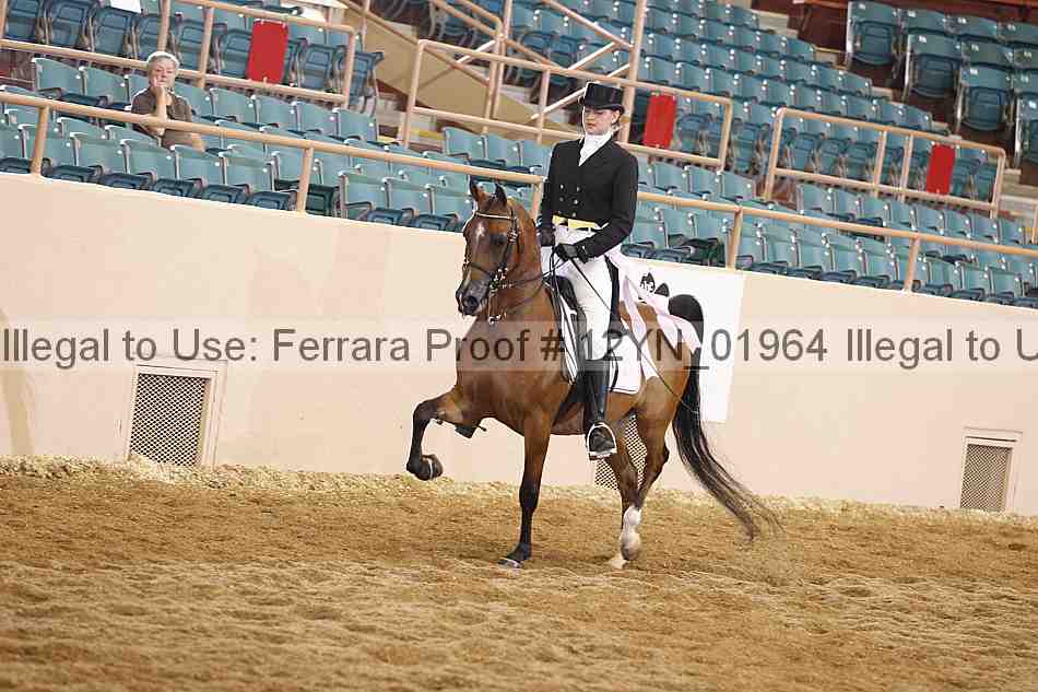 Proof 12yn_01964