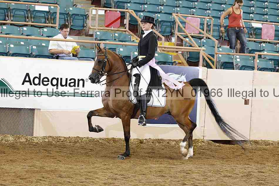 Proof 12yn_01966