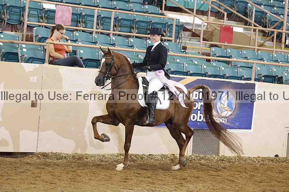 Proof 12yn_01971