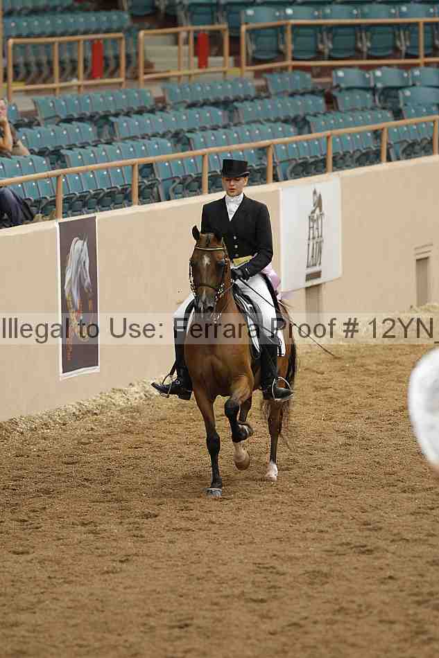 Proof 12yn_01972