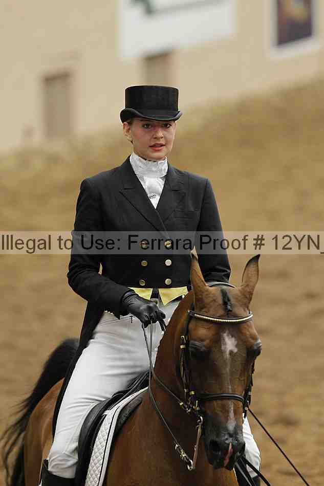 Proof 12yn_01975