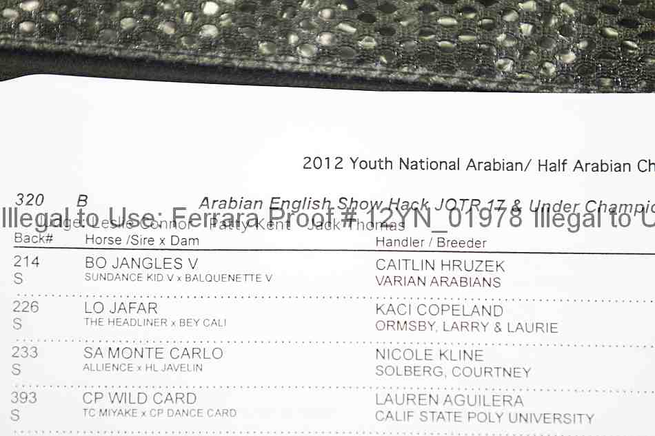 Proof 12yn_01978