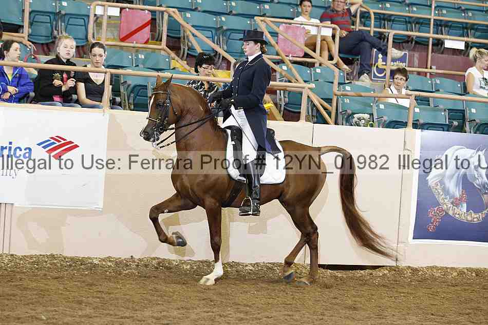 Proof 12yn_01982