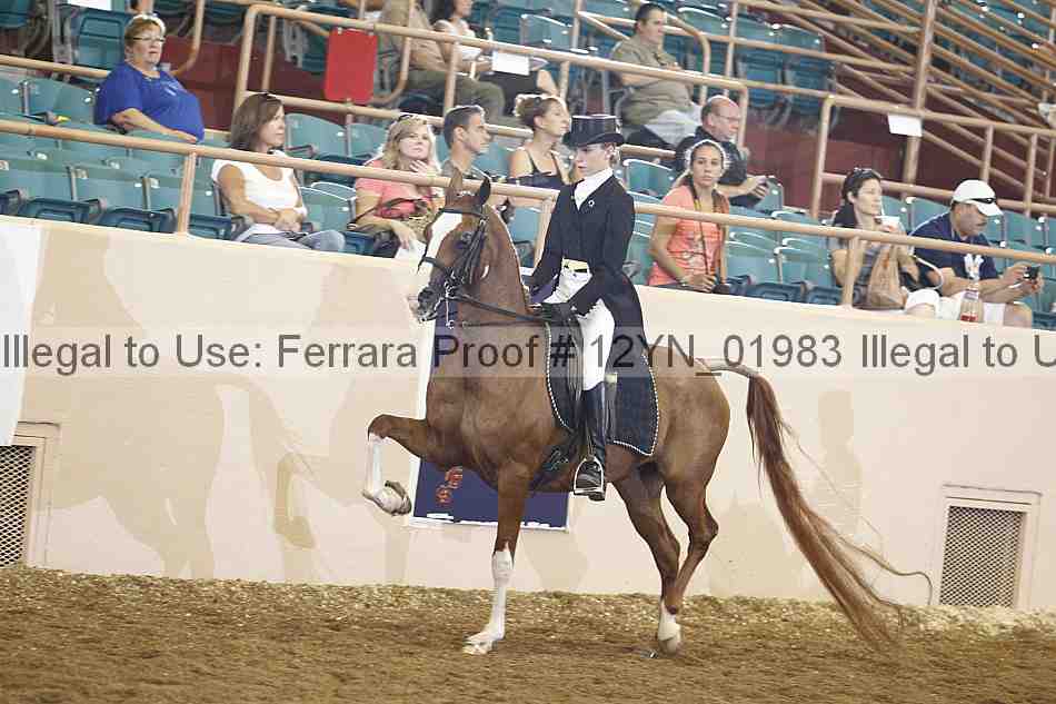 Proof 12yn_01983
