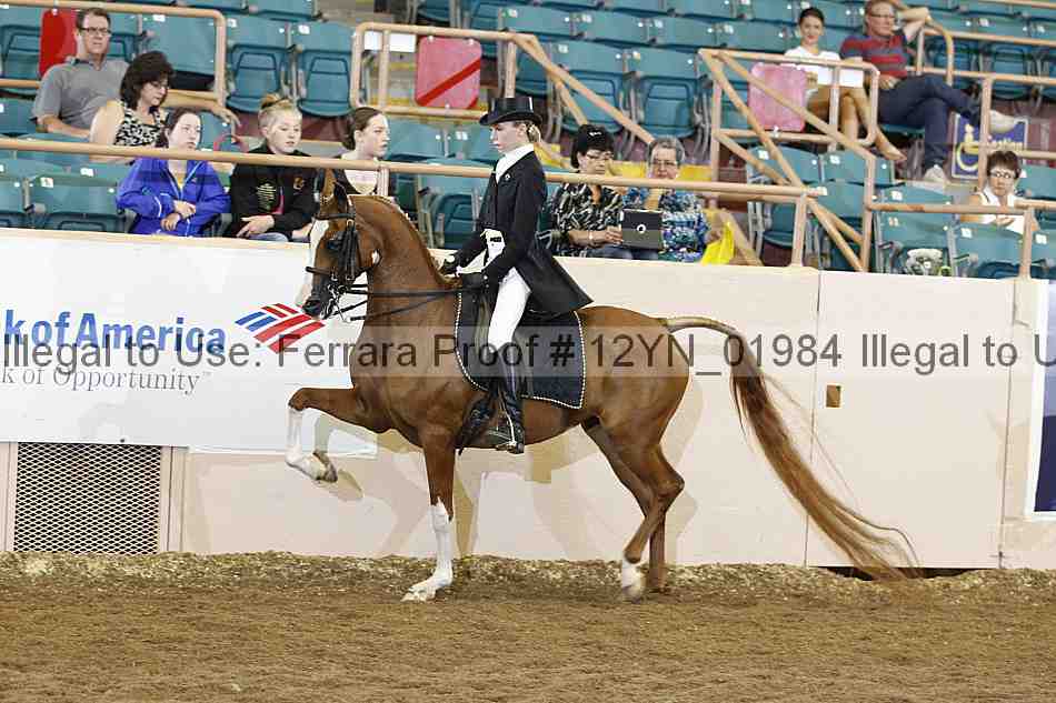 Proof 12yn_01984