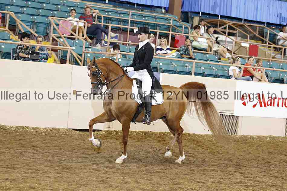 Proof 12yn_01985