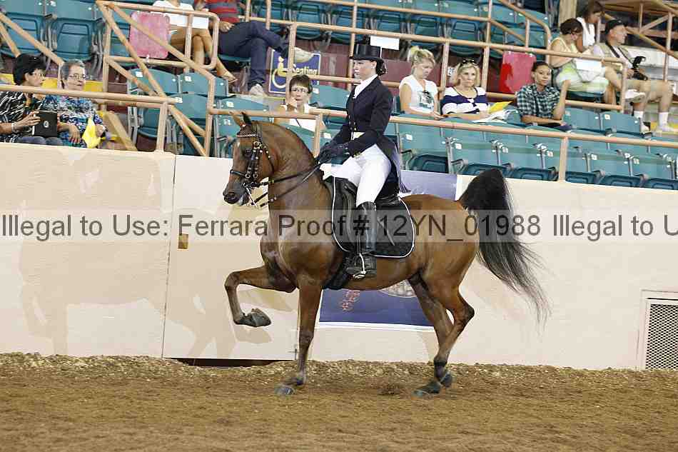 Proof 12yn_01988