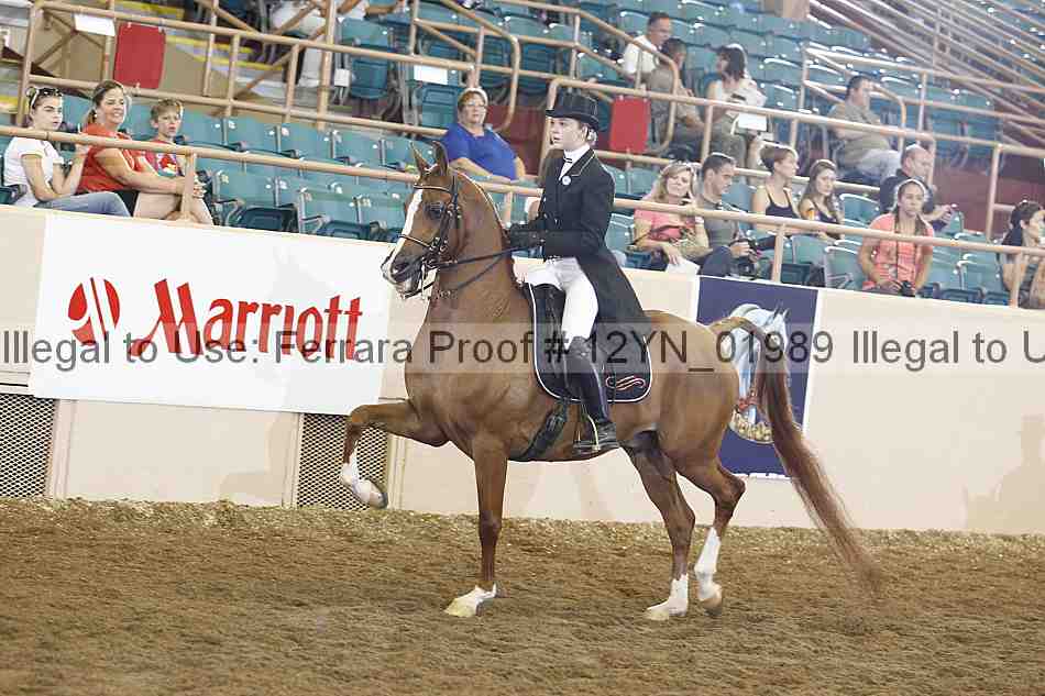 Proof 12yn_01989