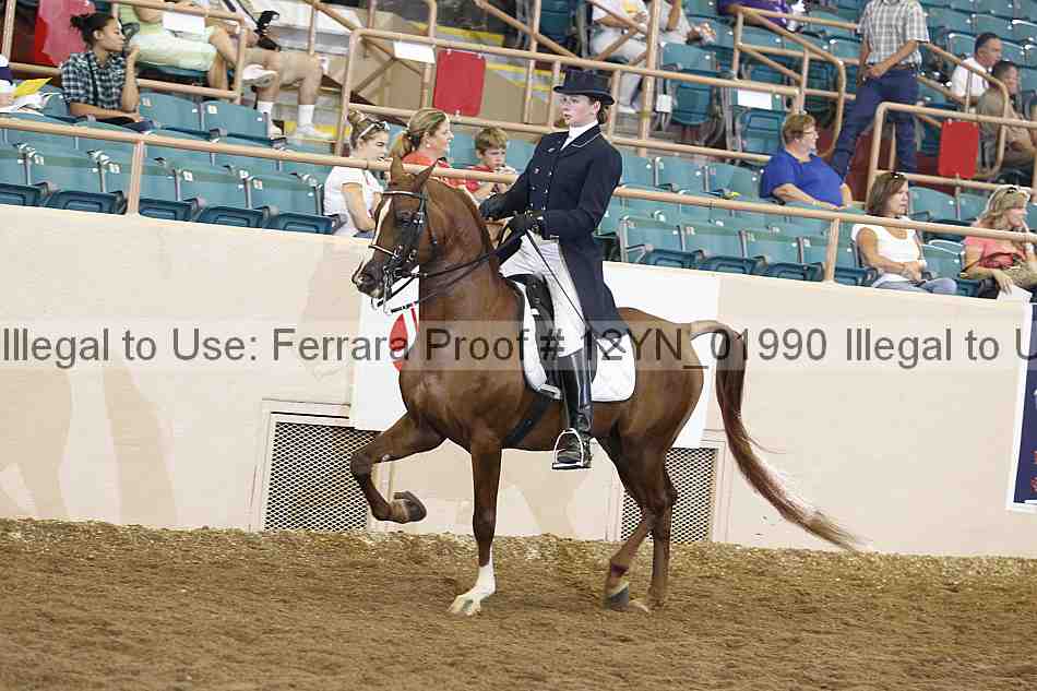 Proof 12yn_01990