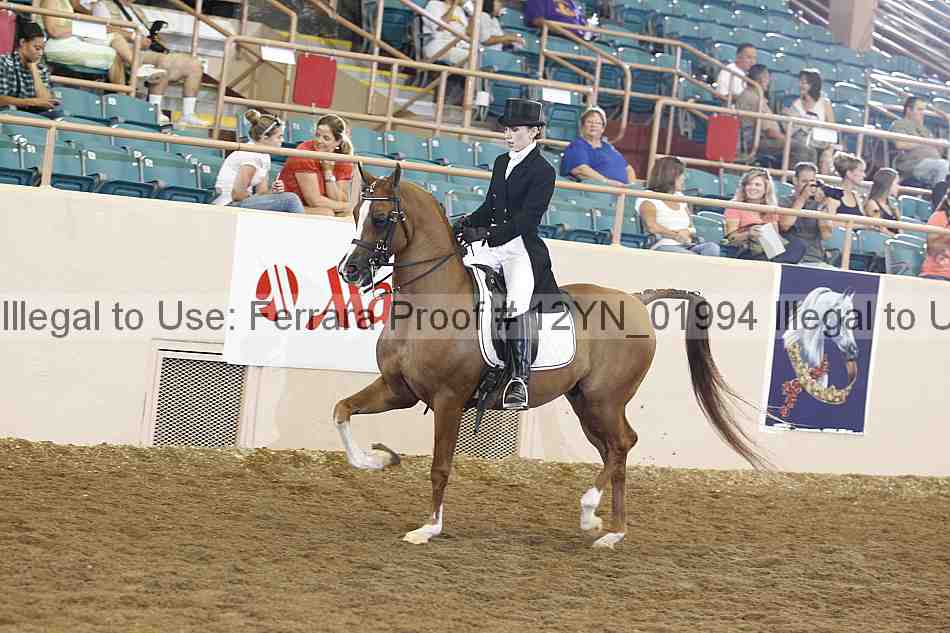 Proof 12yn_01994