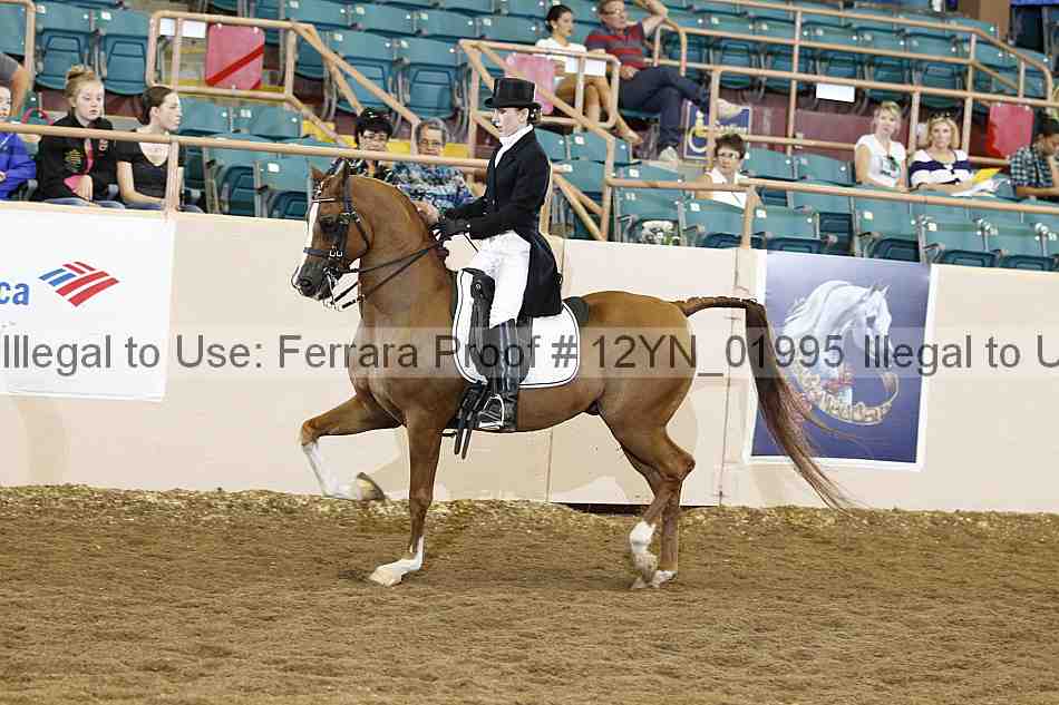 Proof 12yn_01995