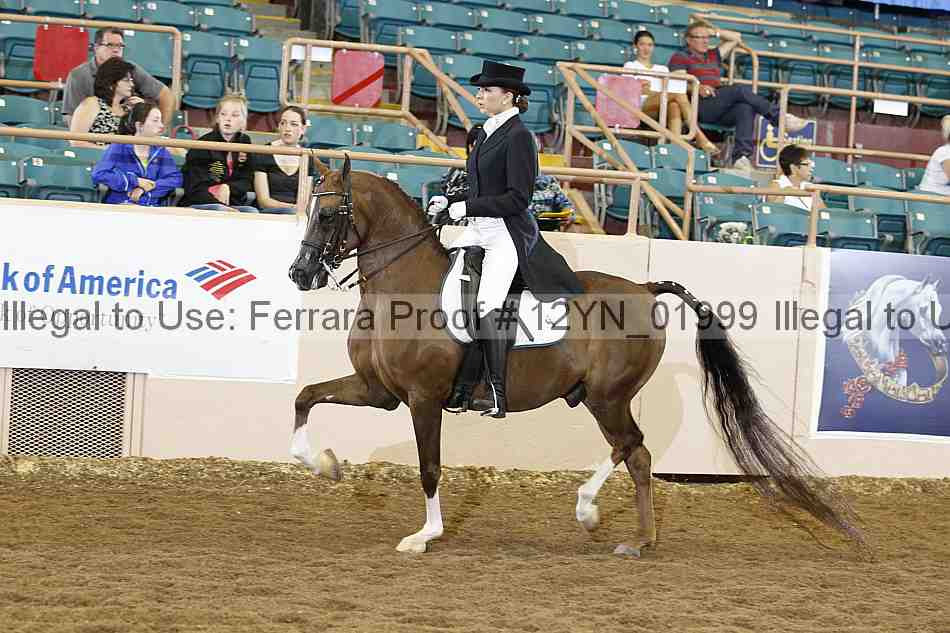 Proof 12yn_01999