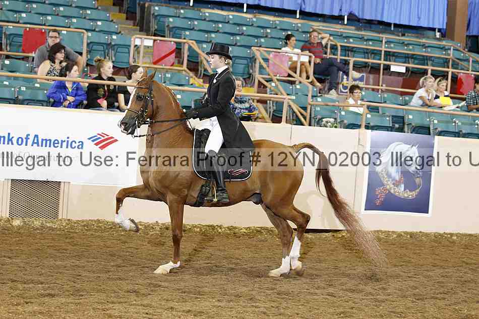 Proof 12yn_02003