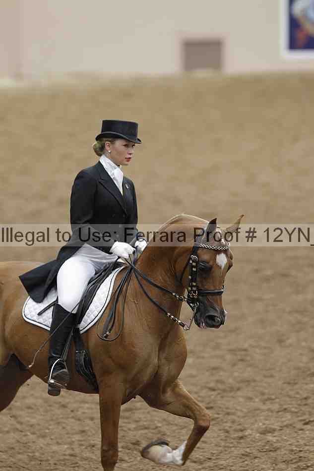 Proof 12yn_02004