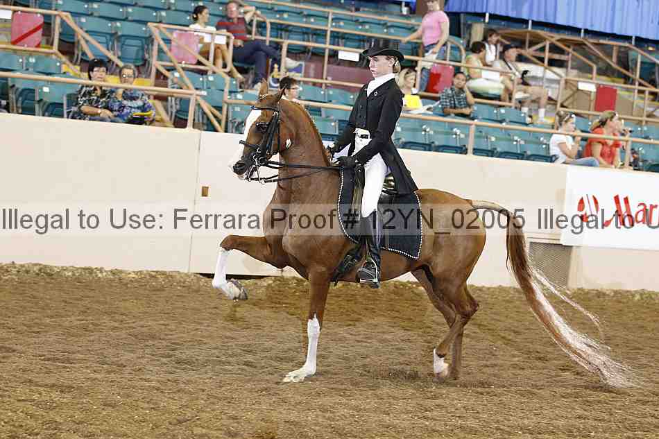Proof 12yn_02005