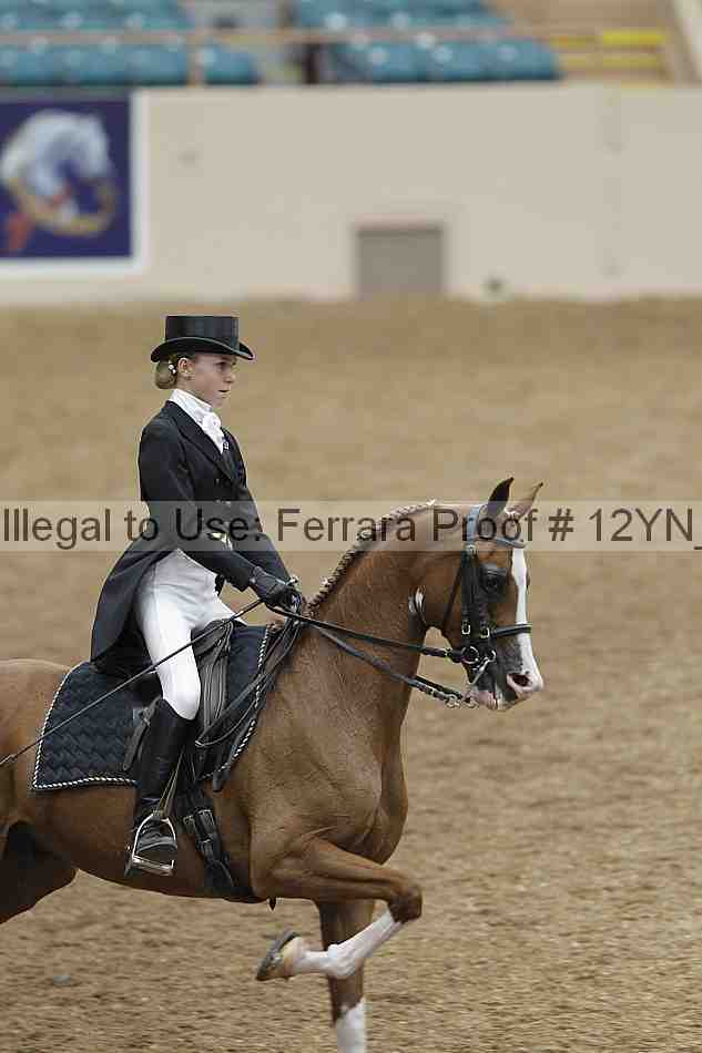 Proof 12yn_02006