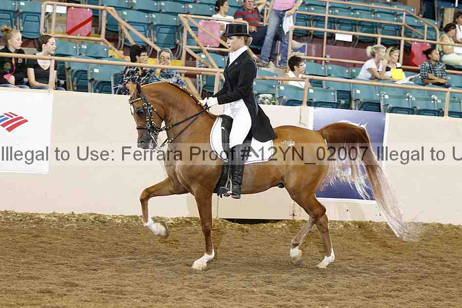 Proof 12yn_02007