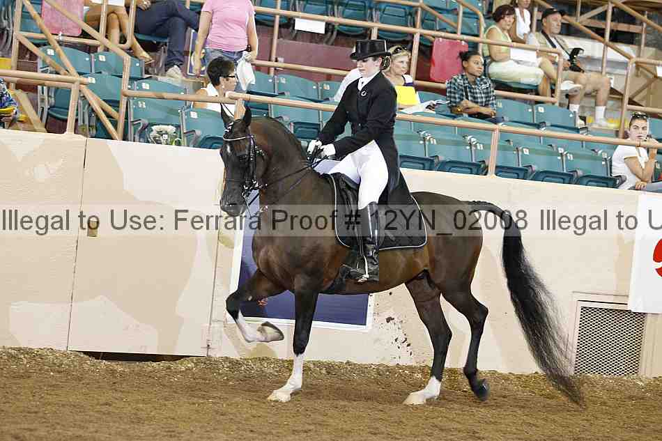 Proof 12yn_02008
