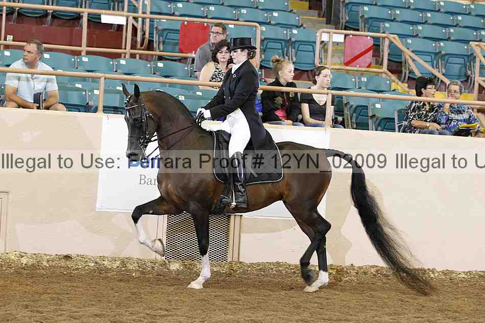 Proof 12yn_02009