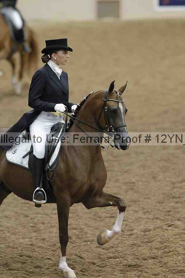 Proof 12yn_02011