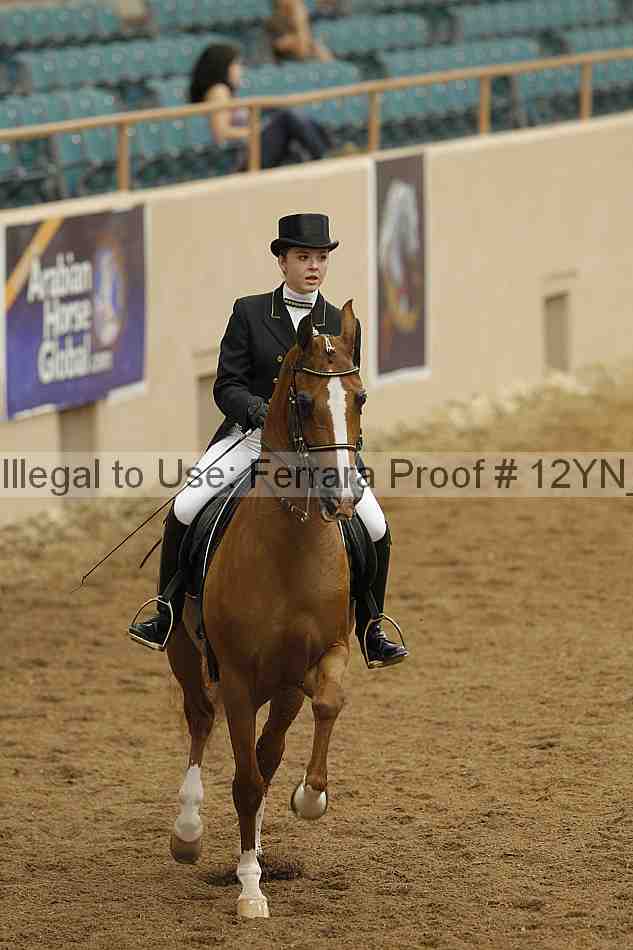 Proof 12yn_02013