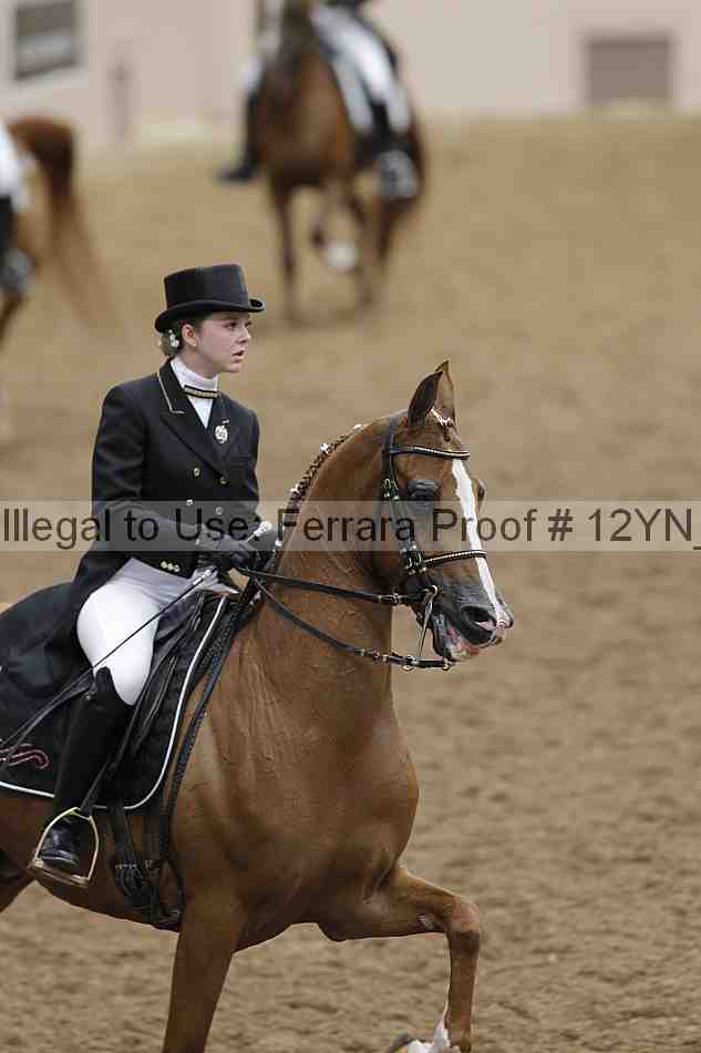 Proof 12yn_02014
