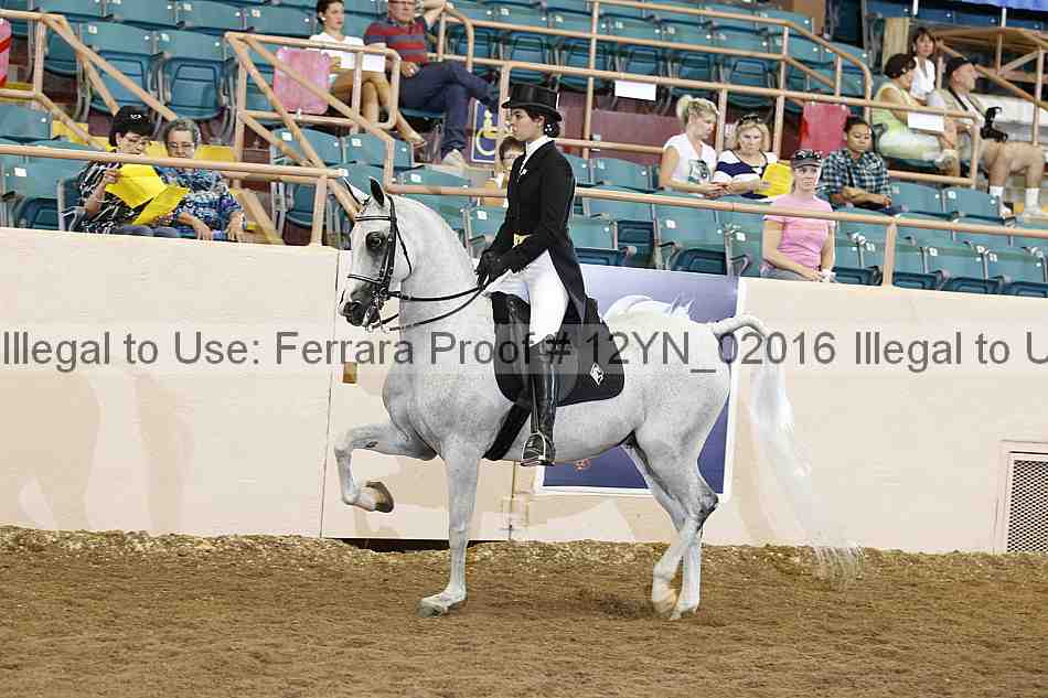 Proof 12yn_02016