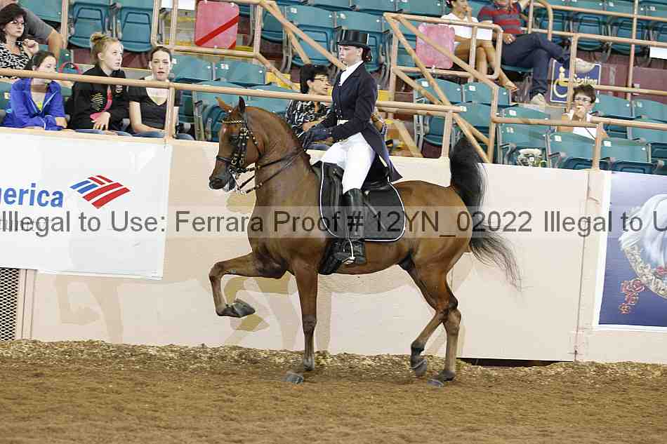 Proof 12yn_02022