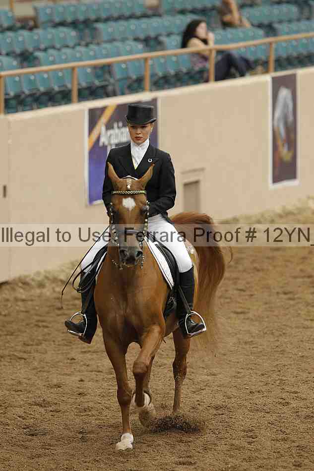 Proof 12yn_02025