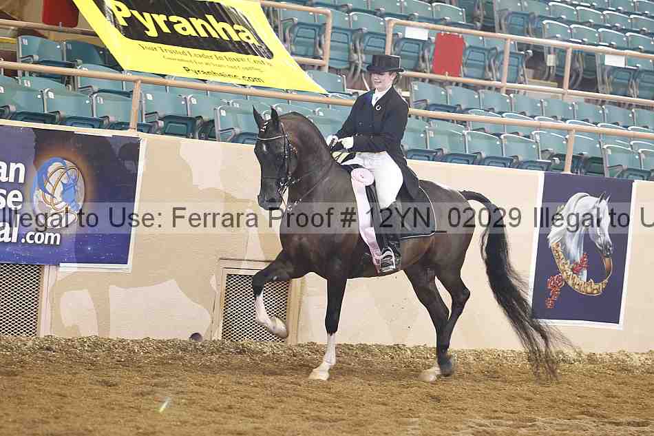 Proof 12yn_02029