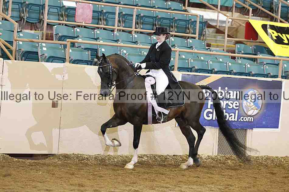 Proof 12yn_02030