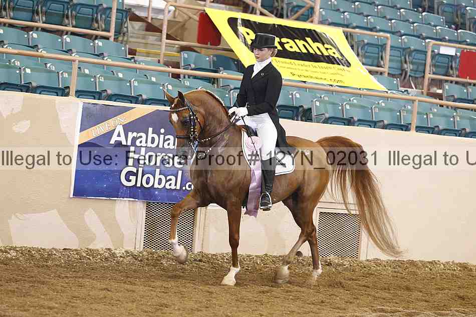 Proof 12yn_02031