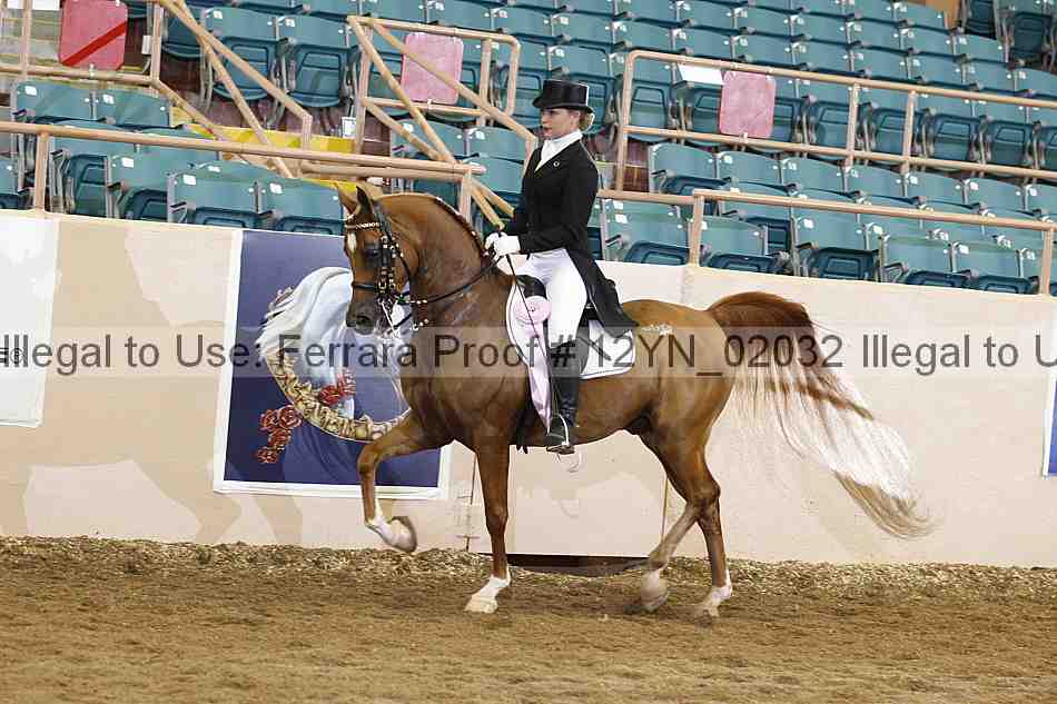 Proof 12yn_02032