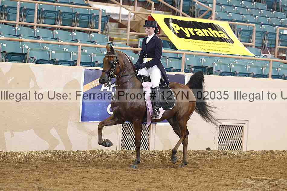 Proof 12yn_02035