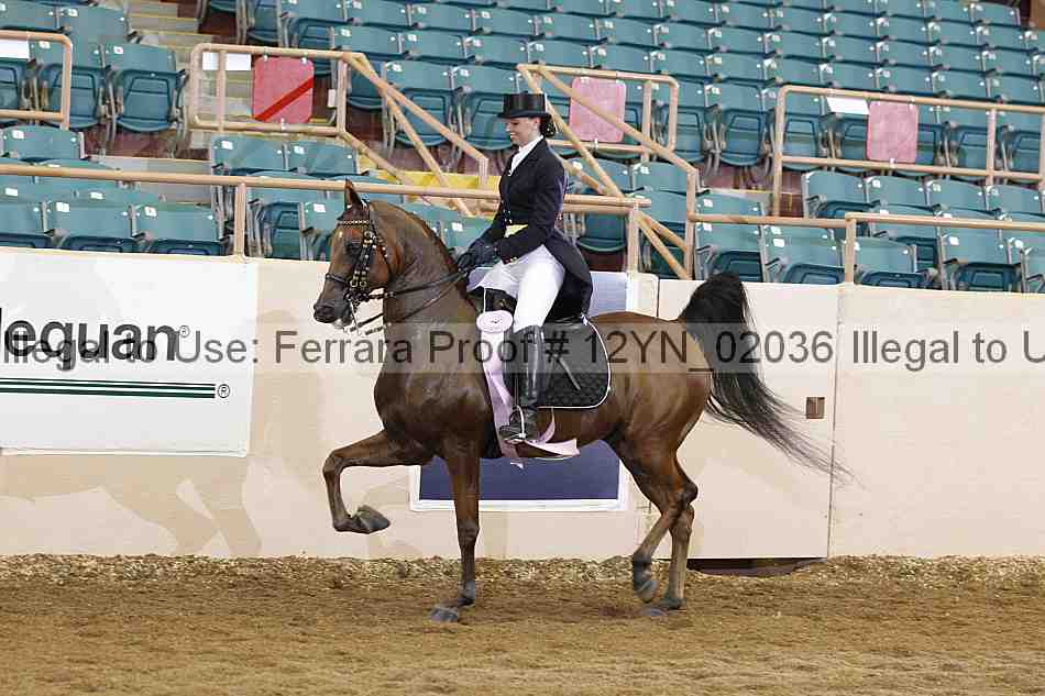 Proof 12yn_02036