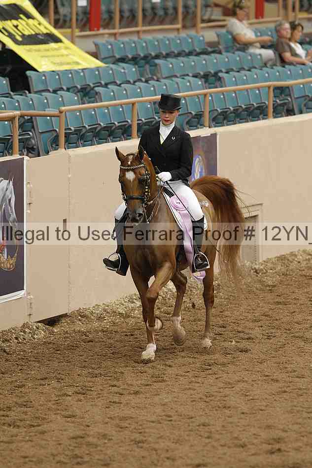 Proof 12yn_02037