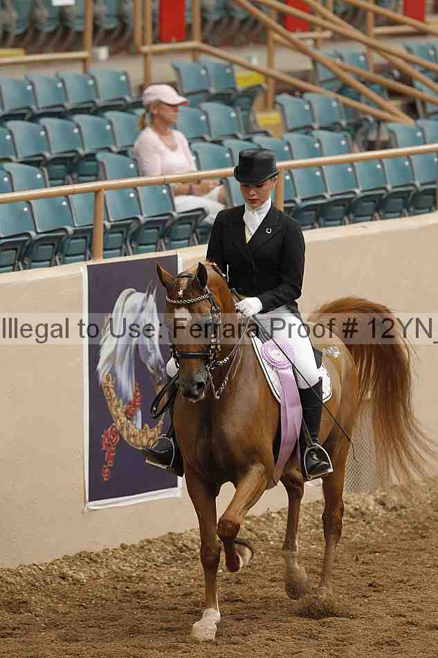 Proof 12yn_02038