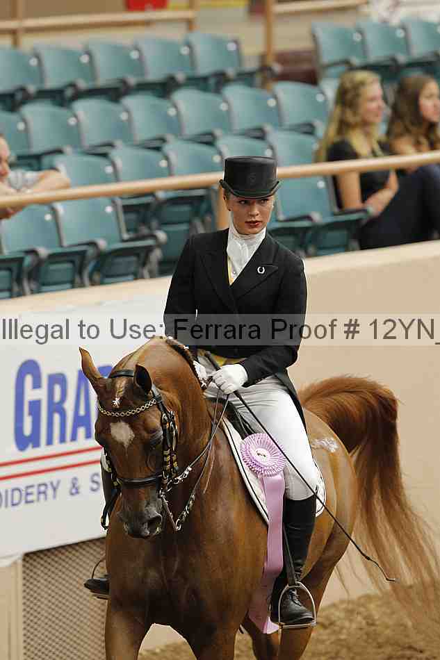 Proof 12yn_02039