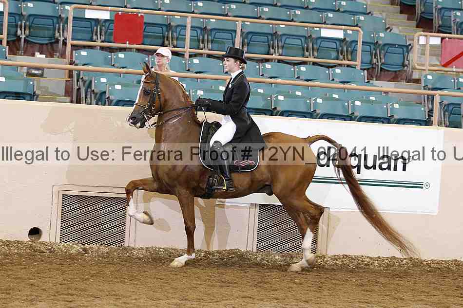 Proof 12yn_02041