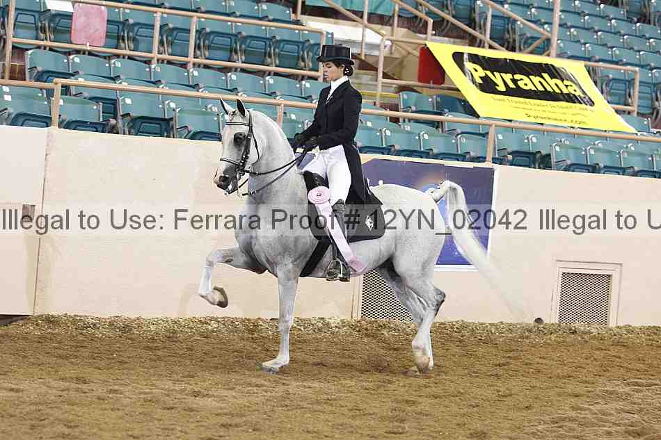 Proof 12yn_02042