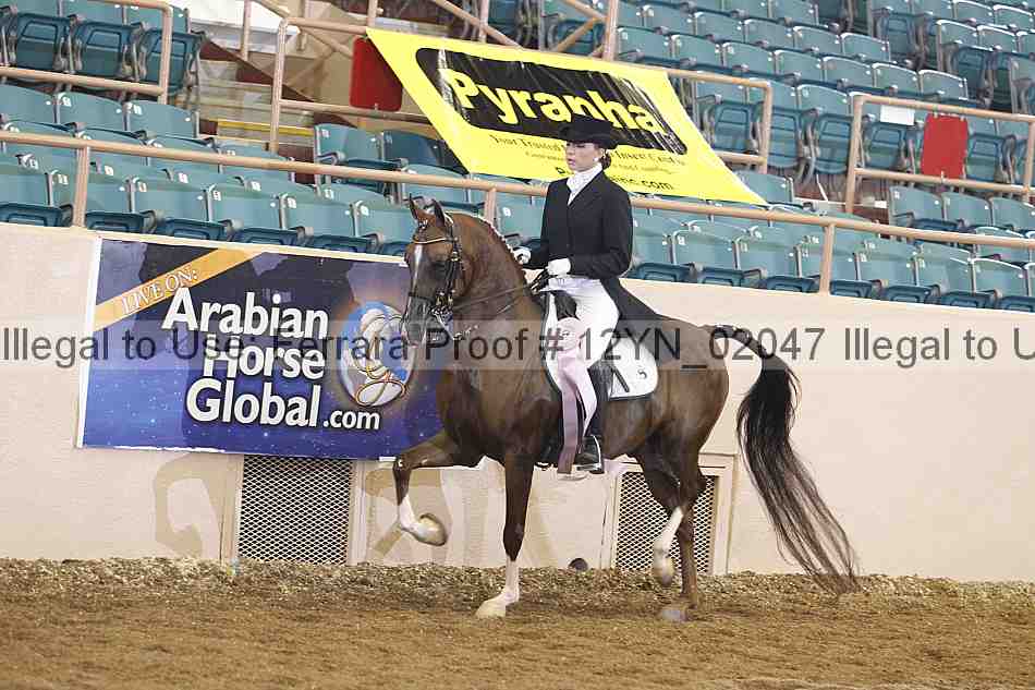 Proof 12yn_02047