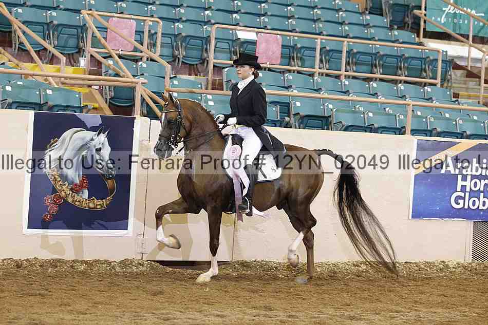 Proof 12yn_02049