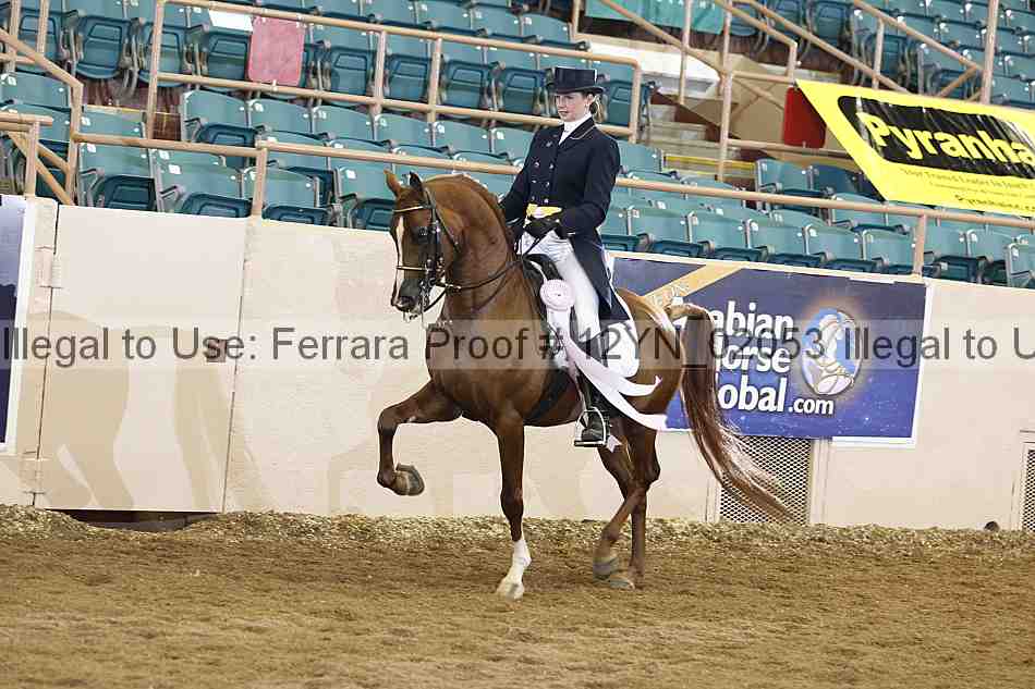 Proof 12yn_02053