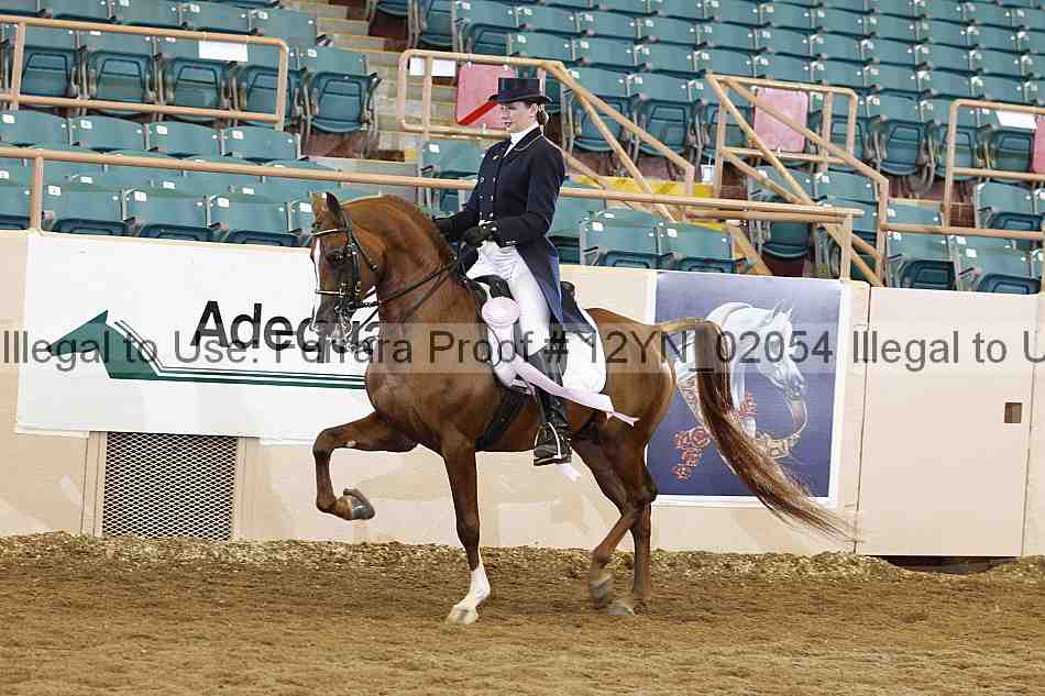 Proof 12yn_02054