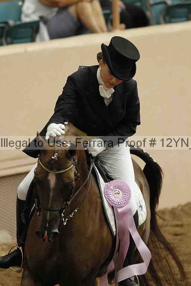 Proof 12yn_02060