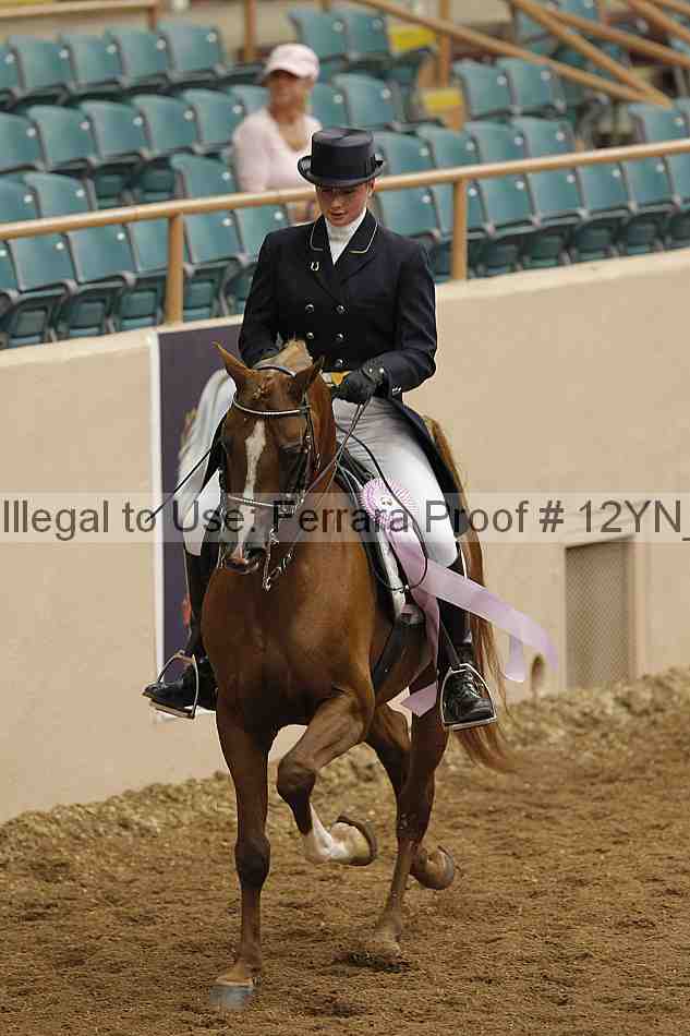 Proof 12yn_02064