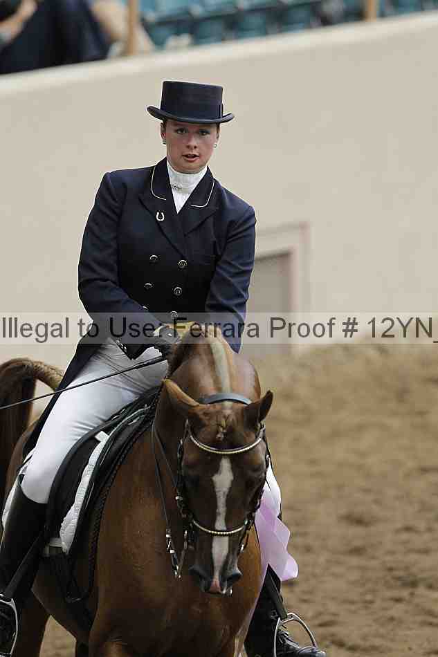Proof 12yn_02065